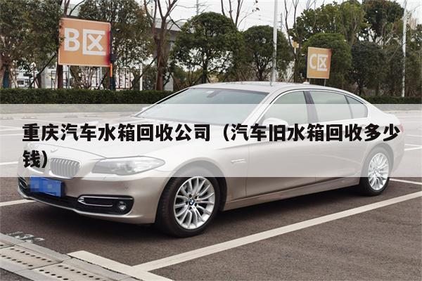 重庆汽车水箱回收公司(汽车旧水箱回收多少钱)