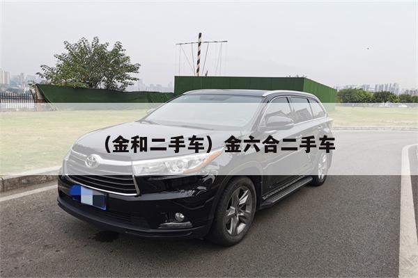 (金和二手车)金六合二手车